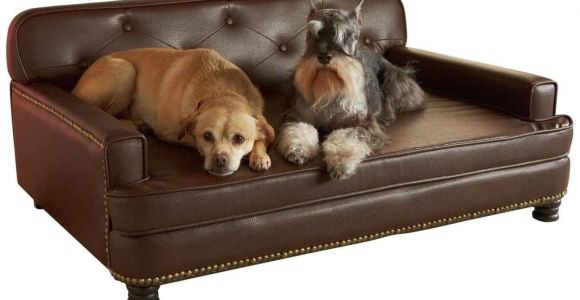 Dog sofa Bed Costco Dog sofa Bed Costco Sentogosho