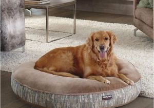 Dog sofa Bed Costco Kirkland Signature Dog Bed Best Between Costco Kirkland