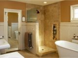 Doorless Shower Pros and Cons Pros and Cons Of Having Doorless Shower On Your Home