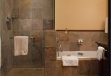 Doorless Shower Pros and Cons Pros and Cons Of Having Doorless Shower On Your Home