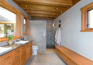 Doorless Shower Pros and Cons Pros and Cons Of Having Doorless Shower On Your Home