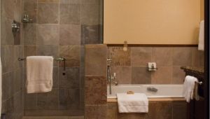 Doorless Shower Pros and Cons Pros and Cons Of Having Doorless Shower On Your Home