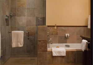 Doorless Shower Pros and Cons Pros and Cons Of Having Doorless Shower On Your Home