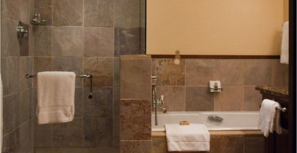 Doorless Shower Pros and Cons Pros and Cons Of Having Doorless Shower On Your Home