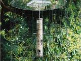 Dove Proof Bird Feeders Birdfeeder