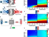 Download Belgium Vs Mexico Highlights Dynamically Reshaping Signaling Networks to Program Cell Fate Via