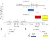 Download Belgium Vs Mexico Highlights Ectopic Calcification In Pseudoxanthoma Elasticum Responds to