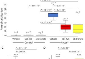 Download Belgium Vs Mexico Highlights Ectopic Calcification In Pseudoxanthoma Elasticum Responds to