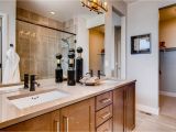 Dream Finders Homes Brighton Colorado Brighton Crossings Avenue Portfolio New Homes In Brighton Co by