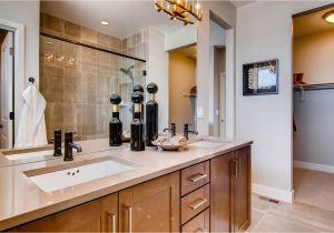 Dream Finders Homes Brighton Colorado Brighton Crossings Avenue Portfolio New Homes In Brighton Co by