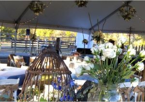 Dream Tents Cowboy Country Weddings Houston Texas Usa the Cowboy solution