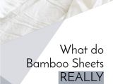 Dreamfit 5 Degree Bamboo Sheets Les 79 Meilleures Images Du Tableau Bamboo Sur Pinterest