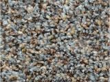 Dreamweaver Polyester Carpet Reviews Dream Weaver Carpet Reviews Floor Matttroy