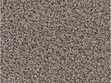 Dreamweaver Polyester Carpet Reviews Dreamweaver Nylon Carpet Reviews Www Stkittsvilla Com