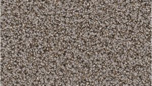 Dreamweaver Polyester Carpet Reviews Dreamweaver Nylon Carpet Reviews Www Stkittsvilla Com