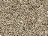 Dreamweaver Polyester Carpet Reviews Dreamweaver Polyester Carpet Reviews Www Resnooze Com