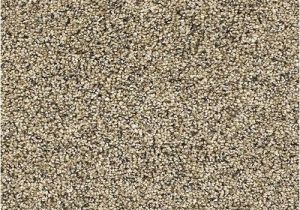 Dreamweaver Polyester Carpet Reviews Dreamweaver Polyester Carpet Reviews Www Resnooze Com