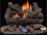 Duluth forge Ventless Gas Log Reviews Duluth forge Ventless Dual Fuel Gas Log Set 18 In