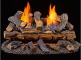 Duluth forge Ventless Gas Log Reviews Duluth forge Ventless Dual Fuel Gas Log Set 24 In