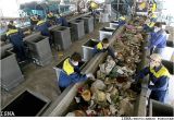 Dumpster Rental Evansville In A Conversation About Phoenix Dumpster Recycling