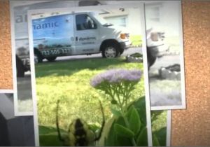 Dynamic Pest Control toms River Nj Dynamic Pest Control Llc 732 505 3277 Youtube