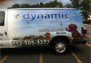 Dynamic Pest Control toms River Nj Dynamic Pest Control Skadedjursbekampning 4 Susanna Ct