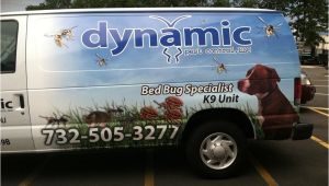 Dynamic Pest Control toms River Nj Dynamic Pest Control Skadedjursbekampning 4 Susanna Ct