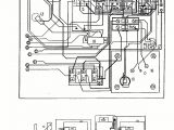 Dynasty Spas Neptune Series Dynasty Spas Wiring Diagram Wiring Diagram