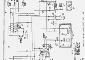 Dynasty Spas Neptune Series Dynasty Spas Wiring Diagram Wiring Diagram