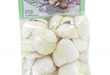 Edible Seashells Hobby Lobby 22 Best Seashell ornaments Workshop Images On Pinterest