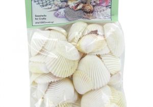 Edible Seashells Hobby Lobby 22 Best Seashell ornaments Workshop Images On Pinterest