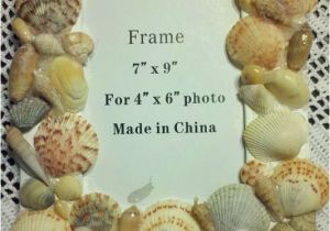Edible Seashells Hobby Lobby 81 Best Sea Shell Projects Images On Pinterest In A Jar