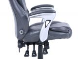 Ergohuman Office Chair with Leg Rest Amazon Com Serta Chr10054a Ergo Executive Office Chair Gray