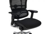 Ergohuman Plus Mesh Office Chair with Leg Rest Grospol Ergohuman Plus Bt Kmd31 Ceny I Opinie Ceneo Pl