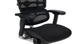 Ergohuman Plus Mesh Office Chair with Leg Rest Grospol Ergohuman Plus Bt Kmd31 Ceny I Opinie Ceneo Pl