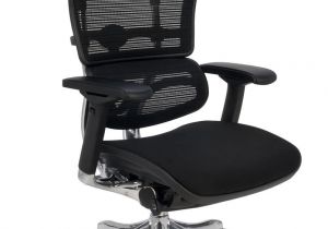 Ergohuman Plus Mesh Office Chair with Leg Rest Grospol Ergohuman Plus Bt Kmd31 Ceny I Opinie Ceneo Pl