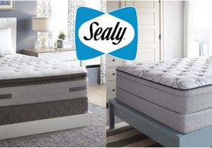 Euro top Vs Pillow top Differences Between Pillow top and Euro top Mattresses
