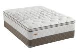 Euro top Vs Pillow top Sealy Vs Serta Comparing 2 top Mattress Brands