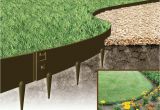 Everedge Steel Lawn Edging Gardensonline Flexible Steel Garden Edging Galvanised and