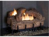 Everwarm Vent Free Gas Logs Reviews Everwarm 18 Quot Palmetto Oak Ventless Natural Gas Log Set