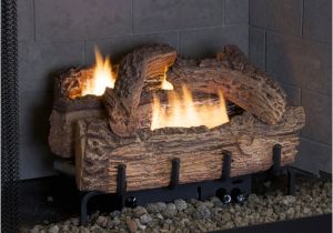 Everwarm Vent Free Gas Logs Reviews Everwarm 18 Quot Palmetto Oak Ventless Natural Gas Log Set