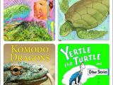 Exotic Pet Stores In Beaumont Texas Best 26 School Library Preschool Ideas On Pinterest Kindergarten