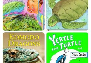 Exotic Pet Stores In Beaumont Texas Best 26 School Library Preschool Ideas On Pinterest Kindergarten