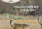 Exotic Pet Stores In Beaumont Texas Hunting Texas Hunting Annual 2018 by Craig Nyhus issuu