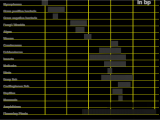 Expansion Tank Sizing Rule Of Thumb Genome Size Wikipedia