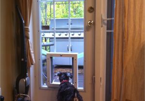 Exterior Door with Dog Door Pre Installed Blog Archives