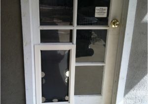 Exterior Door with Dog Door Pre Installed Doors Amusing French Door Dog Door Insert Patio Doors