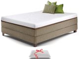 Extra Strong Single Bed Frame Amazon Com Live and Sleep Resort Ultra Twin Size Mattress Gel