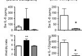 Ez Breathe Ventilation System Model 400 Functional Repair Of Human Donor Lungs by Il 10 Gene therapy