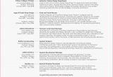Fabric Stores In Lubbock Sample Resume Architecture Graduate New Sample Nanny Resume Nanny